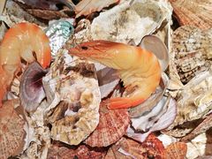 -和源祥·日照菜扛把子(万平口一店)