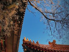 -荐福观音寺