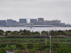 -春花秋色城市公园