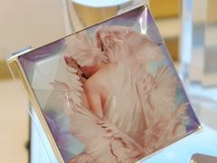 -新世界大丸百货