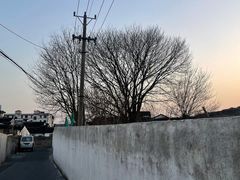 -丰台科技园生态主题公园