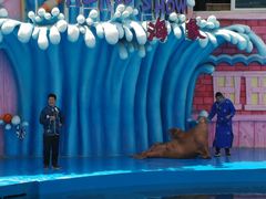 -华夏文旅海洋公园