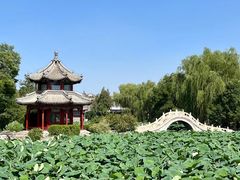 -莲池书院博物馆