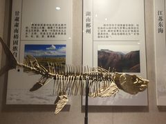 -中华赏石园