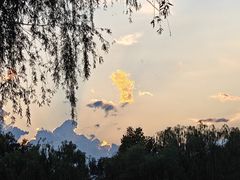 -绿堤公园
