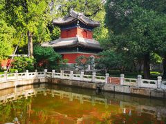 -北京植物园南门售票处