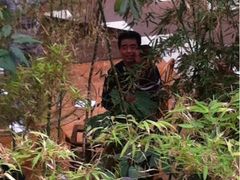 iphone_upload_pic-绿色时代大酒店