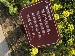-田园东方蜜桃村的田野营地