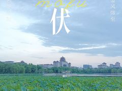 -莲花池公园
