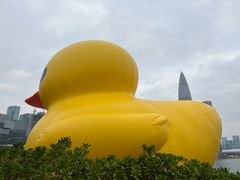 -深圳人才公园