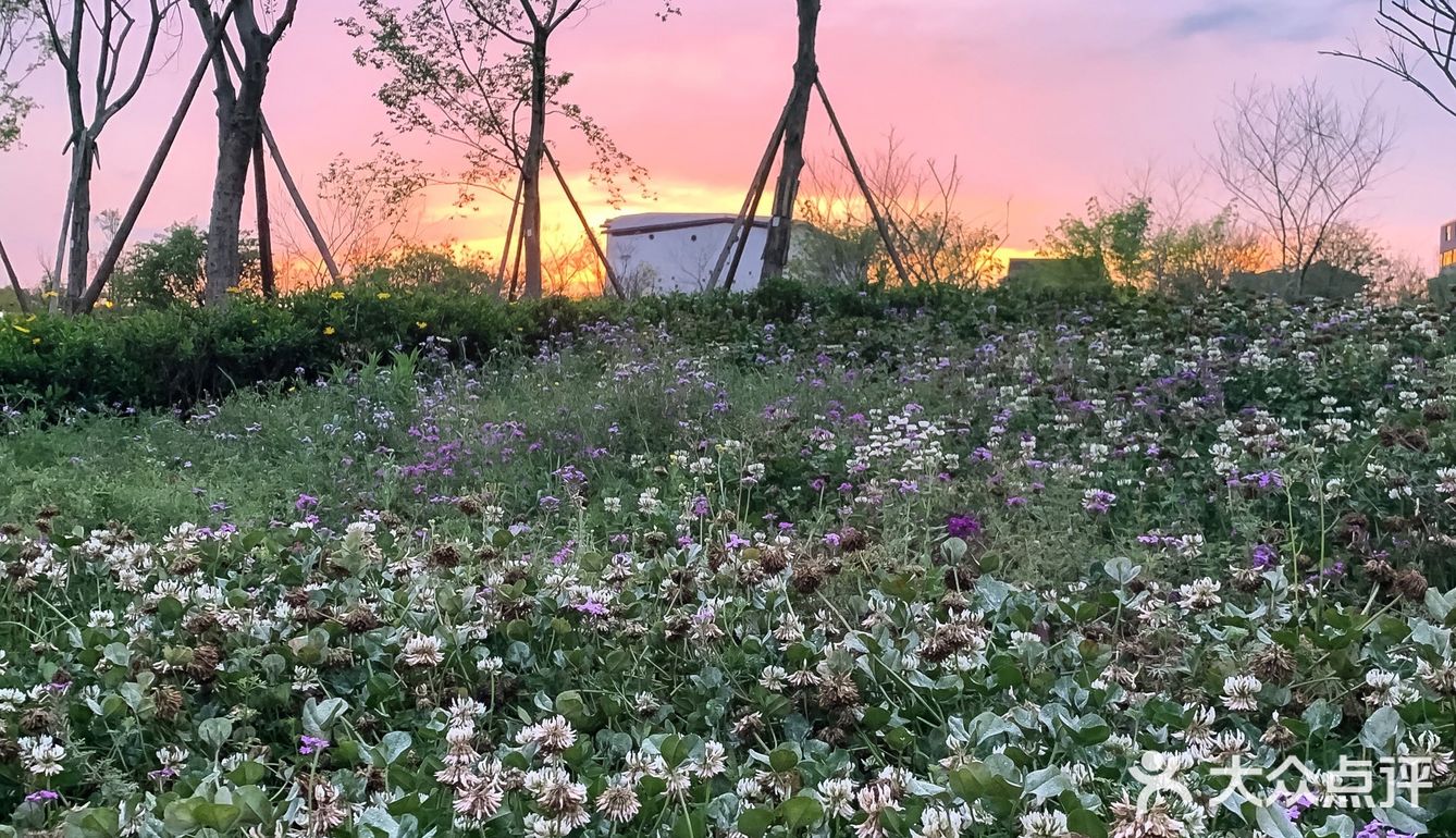 成都⛩｜一样的洛带古镇，不一样的风景🌈