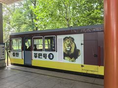 -秦皇岛野生动物园