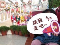 -百万葵园