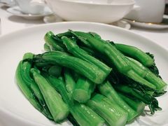 广东菜心-东富酒家(龙湖西溪天街店)