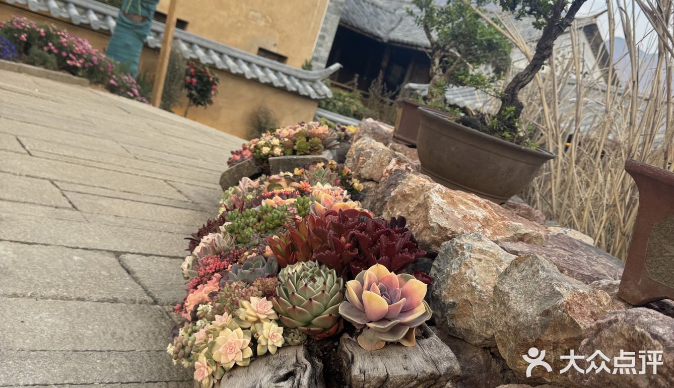 沙溪旅行氛围感Bistro✔️
