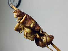 烤大鱿鱼-笔墨纸虾之烧烤海鲜虾尾(好爱广场店)