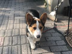 -英皇UA电影城(瑞虹天地月亮湾)