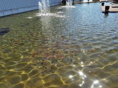 -开能健康科技园(川大路店)