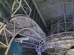 -烟台海昌鲸鲨海洋公园