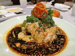 -丰鲤楼•闽南茶楼(仟禧汇店)