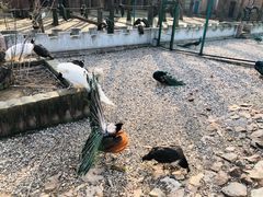 -南京金牛湖风景区