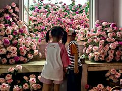 -HERRE·FARM 赫尔露营农场·团建聚会包场