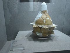 -南越王博物院(王宫展区)