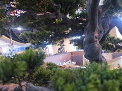 -马家斑.鲜鱼火锅(松湖万科店)