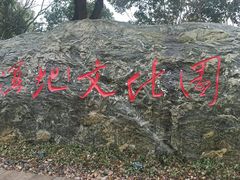 -长兴太湖图影湿地文化园