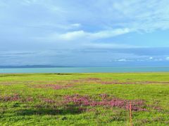-青海湖国家重点风景名胜区