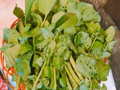 西洋菜-鲜入围煮花胶鸡海鲜火锅