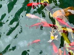-显应宫(长乐区)