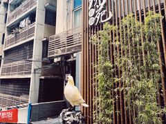 -琬苑鸽庄·川粤融合菜(解放碑总店)