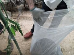 -荔城生鲜盛宴(番禺旗舰店)