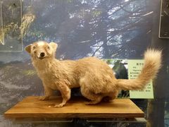 -下渚湖国家湿地公园科普馆