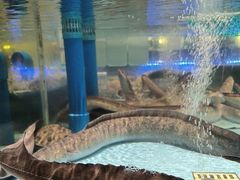 -阿伟海鲜楼·福建菜(延寿店)