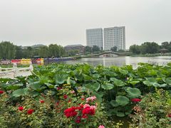 -西海子公园