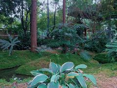 -成都市活水公园