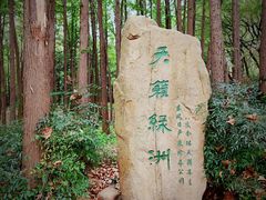 -上海共青森林公园
