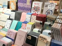 零售区-猫的天空之城概念书店(束河店)