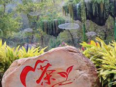 -广州市白云山风景名胜区
