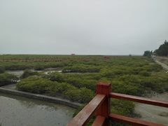 -北海金海湾红树林生态旅游区