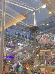 -卡通尼·Safari非洲探索乐园·生日会(金桥国际商业广场店)