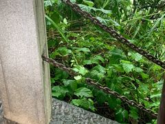 -庐山风景名胜区-东林大佛