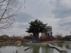 -东台西溪天仙缘景区