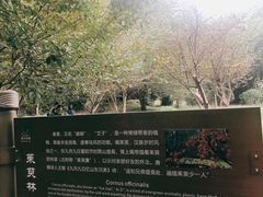 -东湖落雁景区