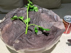 -家一加火锅(绿地翠谷总店)