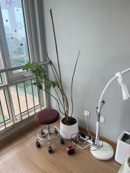 -JX今喜美甲美睫