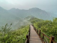 -大岭沟猕猴桃谷风景区