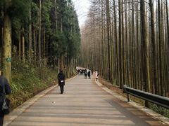 -山王坪喀斯特国家生态公园